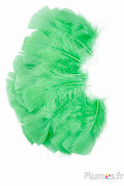 Tacchina - 6-8 cm -  verde lemone